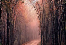 B体育体育登录入口-天津队客场失利，奋起直追的压力与希望