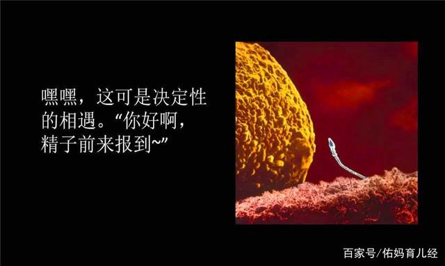 B体育体育app下载地址-全新记录诞生,双方势均力敌的比赛中一方突破魔咒的简单介绍