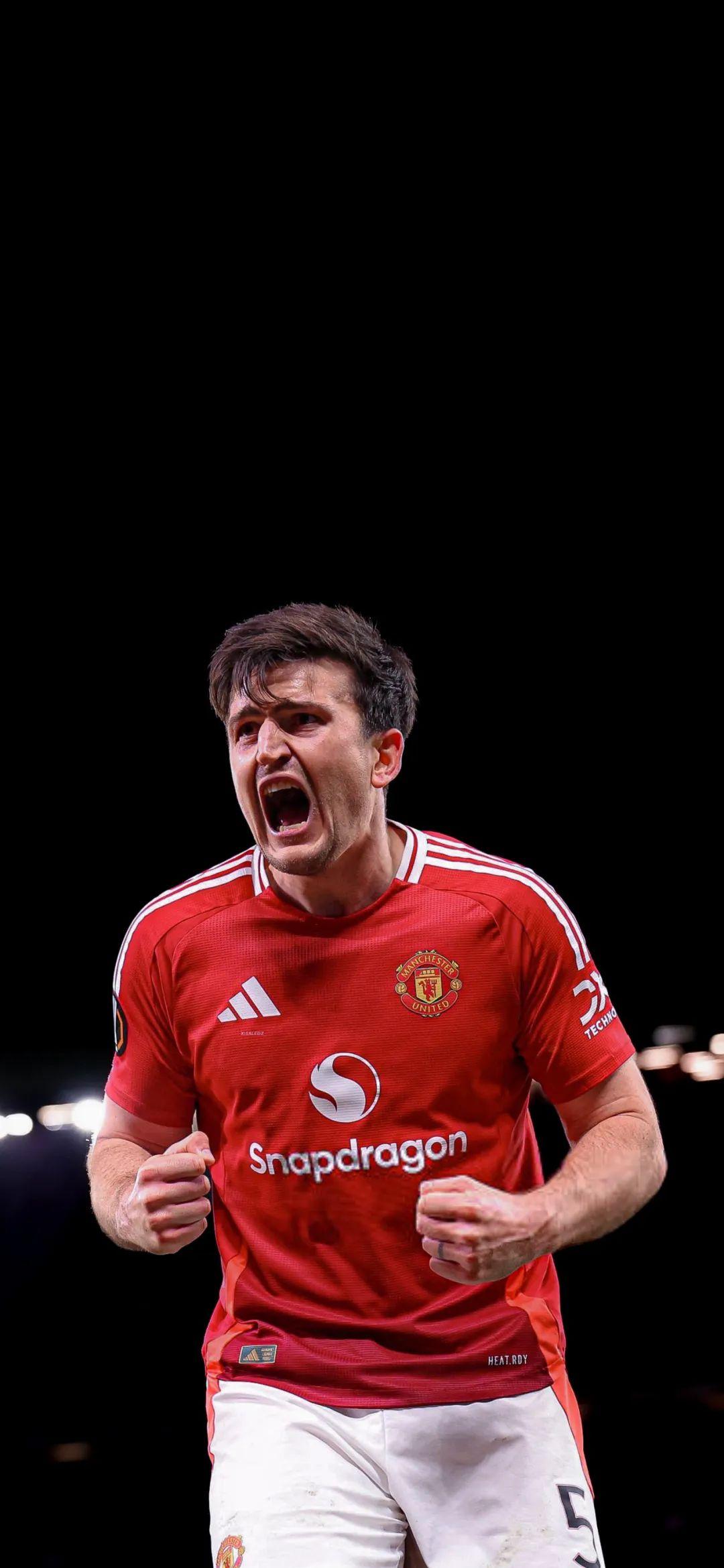 B体育体育链接-里昂队迎来胜利,球员状态火爆的简单介绍