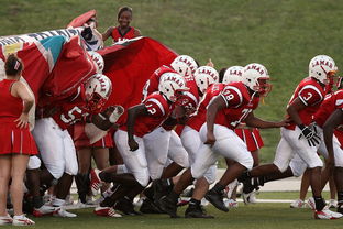 B体育体育网址-火爆对决!顶级球队争分夺秒